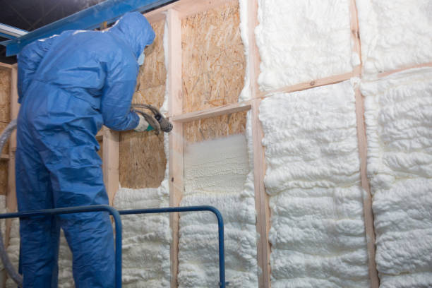 Best Blown-In Insulation  in Wanakah, NY